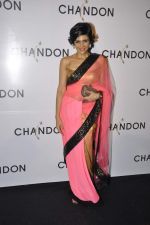 Mandira Bedi at Moet Hennesey launch of Chandon wines made now in India in Four Seasons, Mumbai on 19th Oct 2013